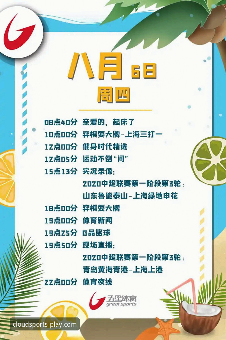 官方版vs第三方版：云体育官网入口选择对比指南